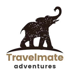 travelmateadventures.in